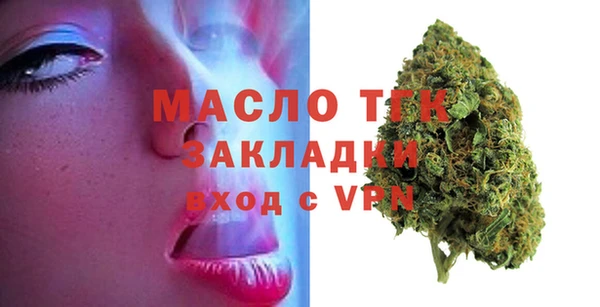 шишки Медвежьегорск