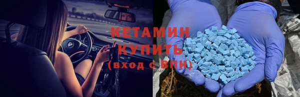 шишки Медвежьегорск