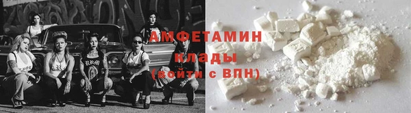 шишки Медвежьегорск