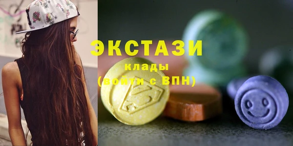 шишки Медвежьегорск