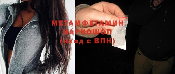 прущие грибы Магас