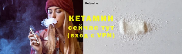 шишки Медвежьегорск