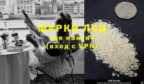 шишки Медвежьегорск