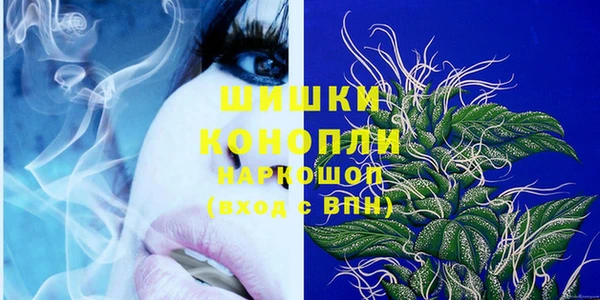 шишки Медвежьегорск