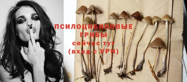 mdma Медногорск