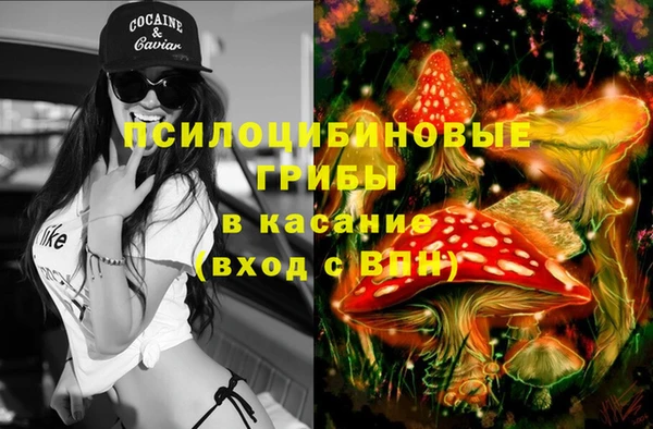 mdma Медногорск