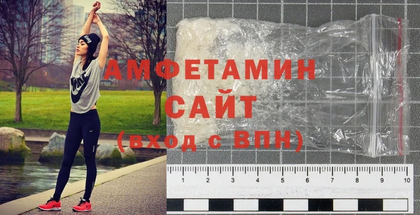 шишки Медвежьегорск