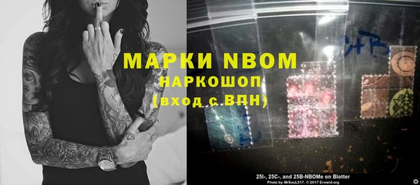 шишки Медвежьегорск