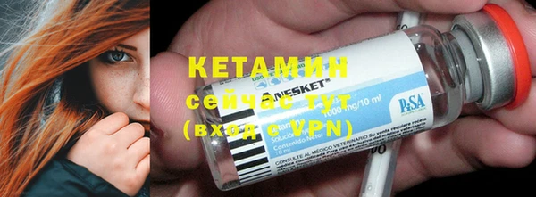 шишки Медвежьегорск