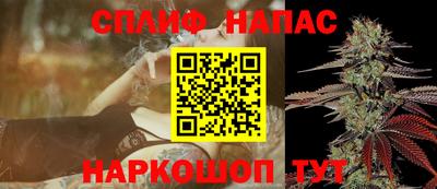 гашик Гусев