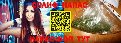 гашик Гусев